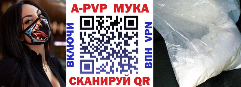A PVP СК КРИС  Череповец 