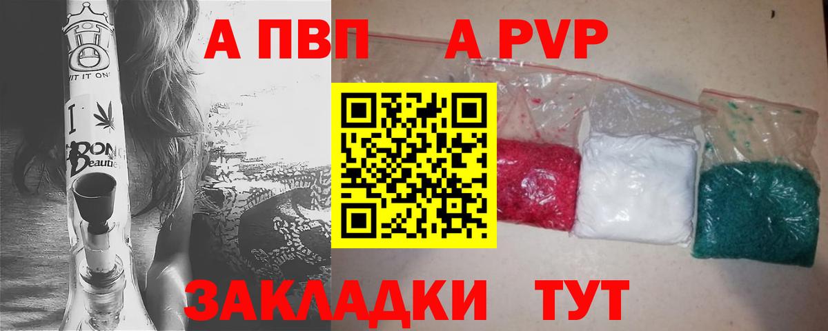 Alfa_PVP СК Череповец