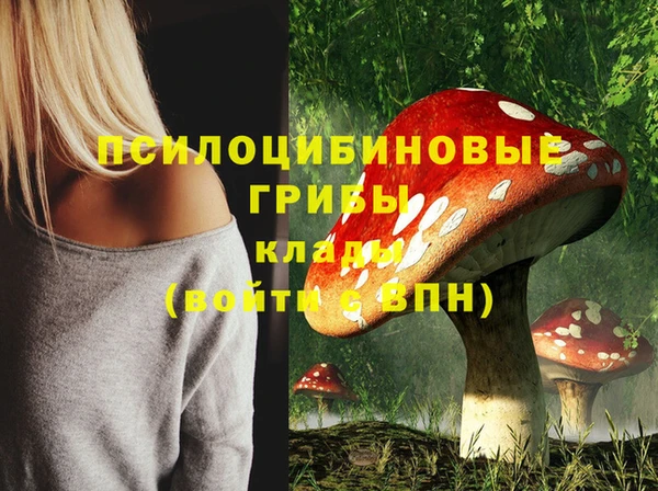 спайс Алексеевка