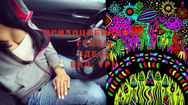 спайс Алексеевка