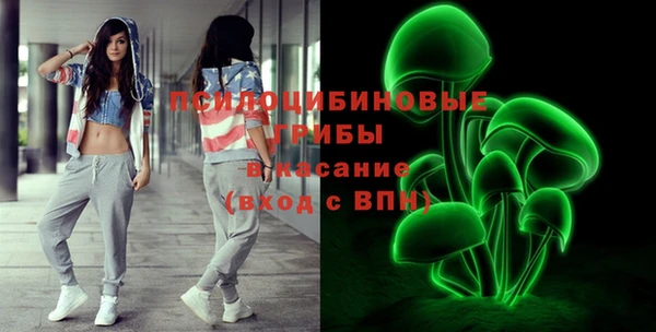 молекула духа Алексин
