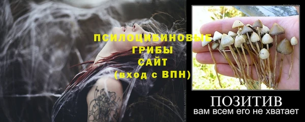 молекула духа Алексин