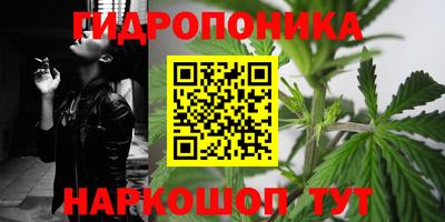 a pvp Тверь