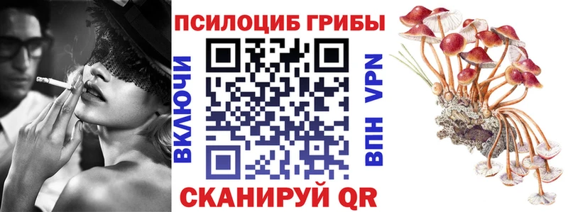 сколько стоит  Череповец  shop клад  Псилоцибиновые грибы Magic Shrooms  hydra как зайти 