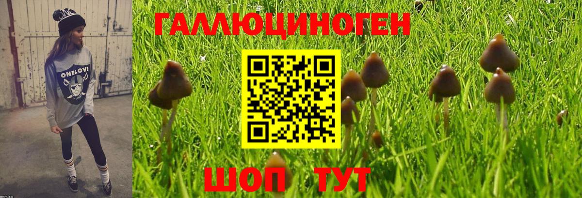 Череповец  Псилоцибиновые грибы мухоморы  Псилоцибиновые грибы Psilocybe  Вход с VPN 